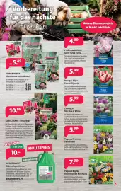 Kiebitzmarkt Prospekt Seite 3
