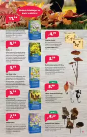 Kiebitzmarkt Prospekt Seite 5