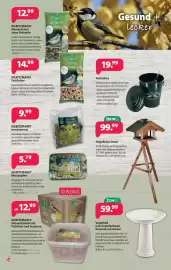 Kiebitzmarkt Prospekt Seite 6