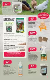 Kiebitzmarkt Prospekt Seite 7