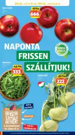 ALDI akciós újság hét 36 Oldal 22