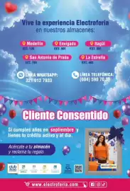 Catálogo Electroferia Página 15