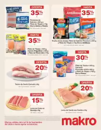 Catálogo Makro semana 36 Página 13