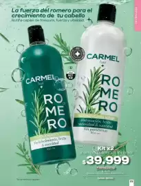 Catálogo Carmel Página 175