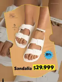 Catálogo Carmel Página 226