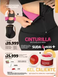 Catálogo Loguin Página 109