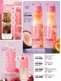 Catálogo Loguin Página 114: Tratamiento emergencia capilar milagros 450 ml €37.999,00