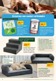 Catalogue Maxi Zoo page 6: More lifestylepets lit orthopédique à mémoire de forme €89,99, Anione escalier sky €49,99