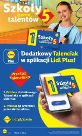 Lidl gazetka Strona 10