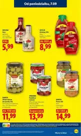 Lidl gazetka Strona 43: Pesto XXL Baresa €14,99, Pomidory suszone połówki Urbanek €13,99