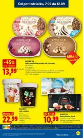 Lidl gazetka Strona 49