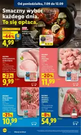 Lidl gazetka Strona 64