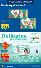 Lidl gazetka Strona 80: Pampers Active Baby pantsy 5 €99,99