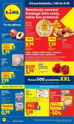 Lidl (ważność do 9-09)