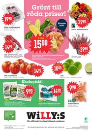 Willys reklamblad vecka 37 Sida 8: GUL LÖK 1KG, RÖDLÖK 1KG, FÄRSK MAJSKOLV, GRÖN ZUCCHINI €15,00, KORTA ROSOR 10-PACK €29,90