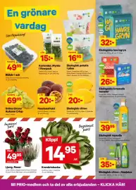 City Gross reklamblad vecka 37 Sida 4: Ekologiska havregryn €32,00, Ekologiska krossade tomater €26,00