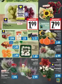 EDEKA Hahner Prospekt Seite 5