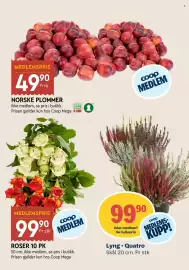 Coop Mega kundeavis uke 37 Side 10: Coop Roser 10 pk €99,90, Lyng - Quatro €99,90