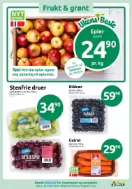 Joker kundeavis Side 3: Epler €24,90, Blåbær €59,90