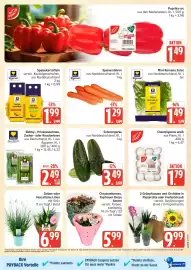 Marktkauf Prospekt Seite 5