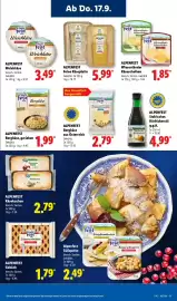 Lidl Prospekt woche 38 Seite 63