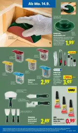 Lidl Prospekt woche 38 Seite 43