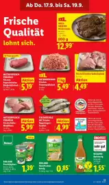 Lidl Prospekt woche 38 Seite 61