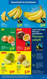 Lidl Prospekt woche 38 Seite 7