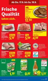 Lidl Prospekt woche 38 Seite 57