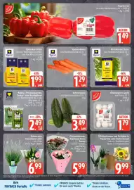 Edeka Prospekt Seite 5