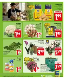 Edeka Prospekt Seite 5