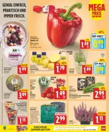 Edeka DE folder week 37 Pagina 2