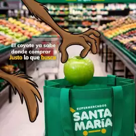 Catálogo Santa Maria Página 1