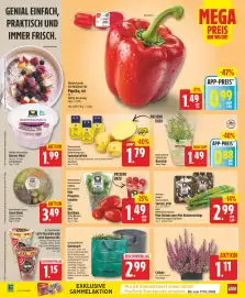 Edeka24 Prospekt woche 37 Seite 2