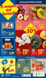 Volantino Lidl settimana 37 Pagina 58: Italiamo Tomini con speck €2,29, Mobile TV €49,00