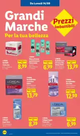 Volantino Lidl settimana 37 Pagina 50: L'Oreal Ritocco Perfetto Spray istantaneo ritocco radici €6,99