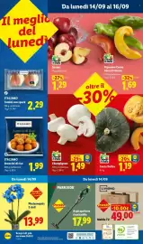 Volantino Lidl settimana 37 Pagina 58: Italiamo Tomini con speck €2,29, Mobile TV €49,00
