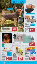 Aldi Nord Prospekt woche 38 Seite 20