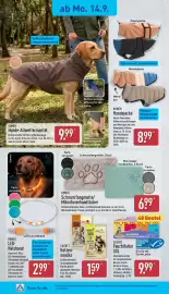 Aldi Nord Prospekt woche 38 Seite 20