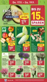 Aldi Nord Prospekt woche 38 Seite 30
