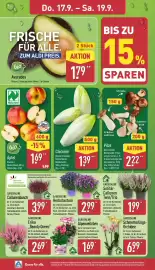 Aldi Nord Prospekt woche 38 Seite 30