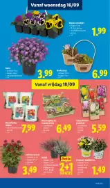 Lidl folder week 38 Pagina 23