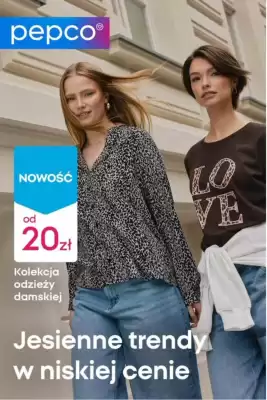 Pepco gazetka (ważność do 18-09)