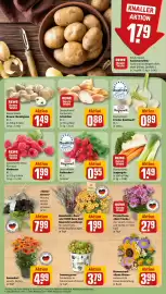 REWE Prospekt woche 37 Seite 7