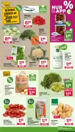 Wasgau Prospekt woche 37 Seite 9