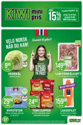 Kiwi (gyldig til 14-09)
