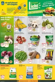 Globus Baumarkt Prospekt woche 37 Seite 8