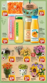 REWE Prospekt woche 37 Seite 9