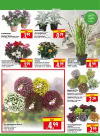Herkules Baumarkt Prospekt woche 37 Seite 2
