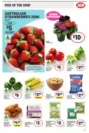 IGA catalogue week 37 Page 6